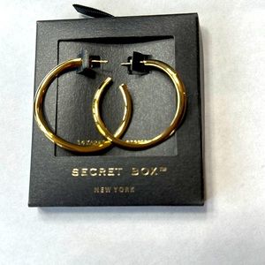 24K Gold dipped Earrings
